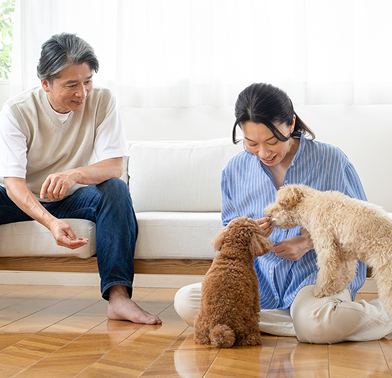 人にも環境にも優しい